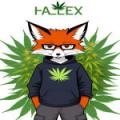 M|kkelRev's Avatar